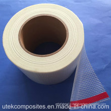 55GSM Fiberglass Mesh with Pet